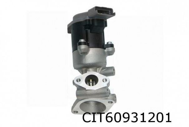 EGR ventil venstre C&/C5/407/607