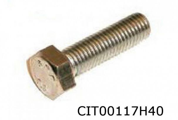 M7X40mm bolt