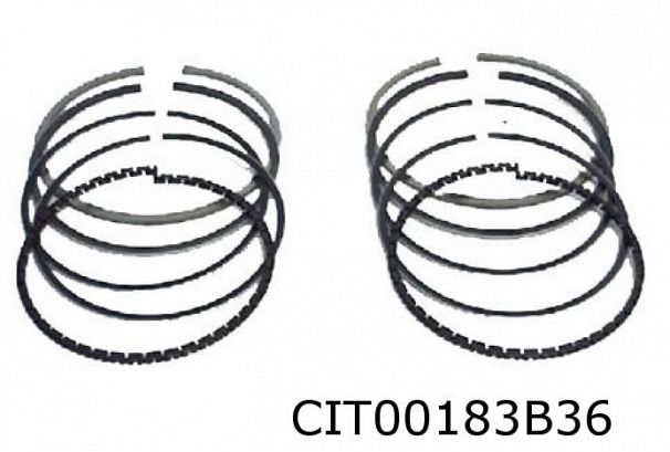 Stempelfjærsett 2cv6 Ø 74mm 1,5-2-4 mm <-76 