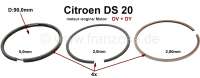 Stempelfjæreset DS 20 DV+DY