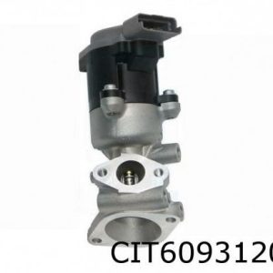 EGR ventil venstre C&/C5/407/607