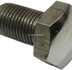 Bakskjerm monteringsbolt