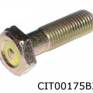 Svinghjulsbolt